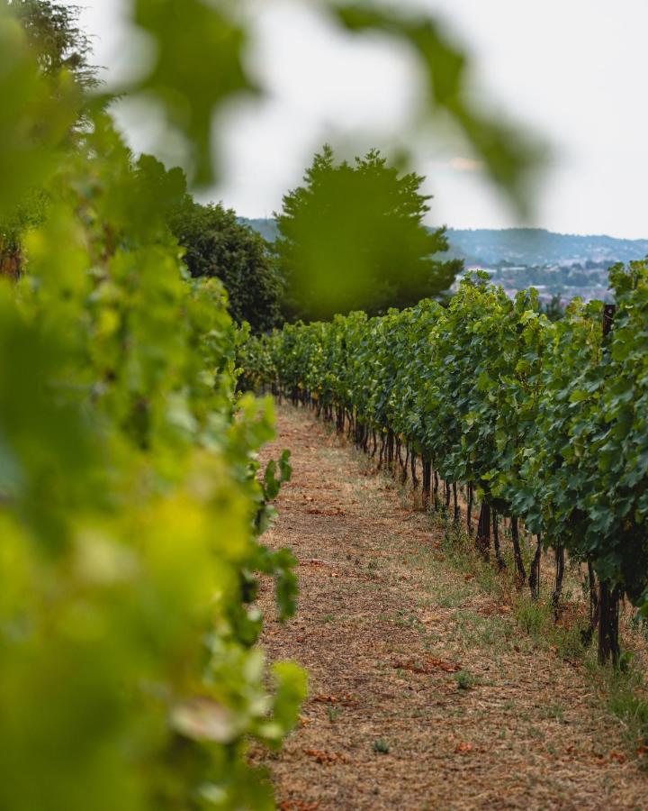 Tenuta Ronco Regio San Fermo della Battaglia Εξωτερικό φωτογραφία